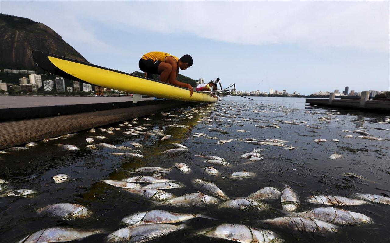 La contaminación es el principal problema en la Bahía de Guanabara (Foto: Reuters)
