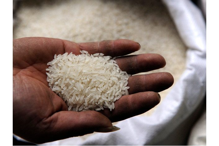 Banco central de República Dominicana destina 121 mdd para cultivos de arroz