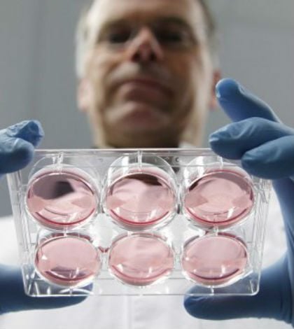 Científicos rastrean las ‘huellas’ del cáncer
