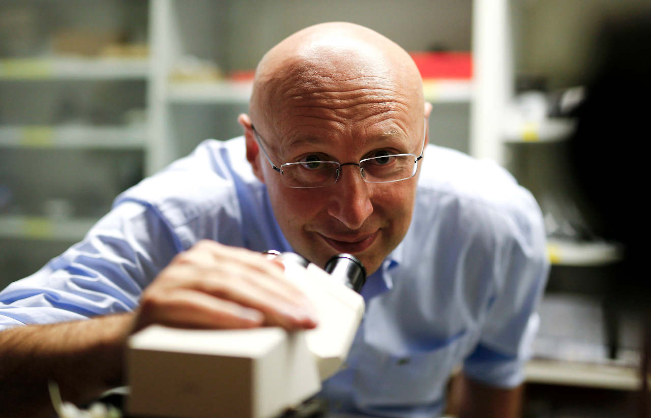 Creadores del nanoscopio ganan Nobel de Química