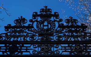 Harvard rectora antisemitismo
