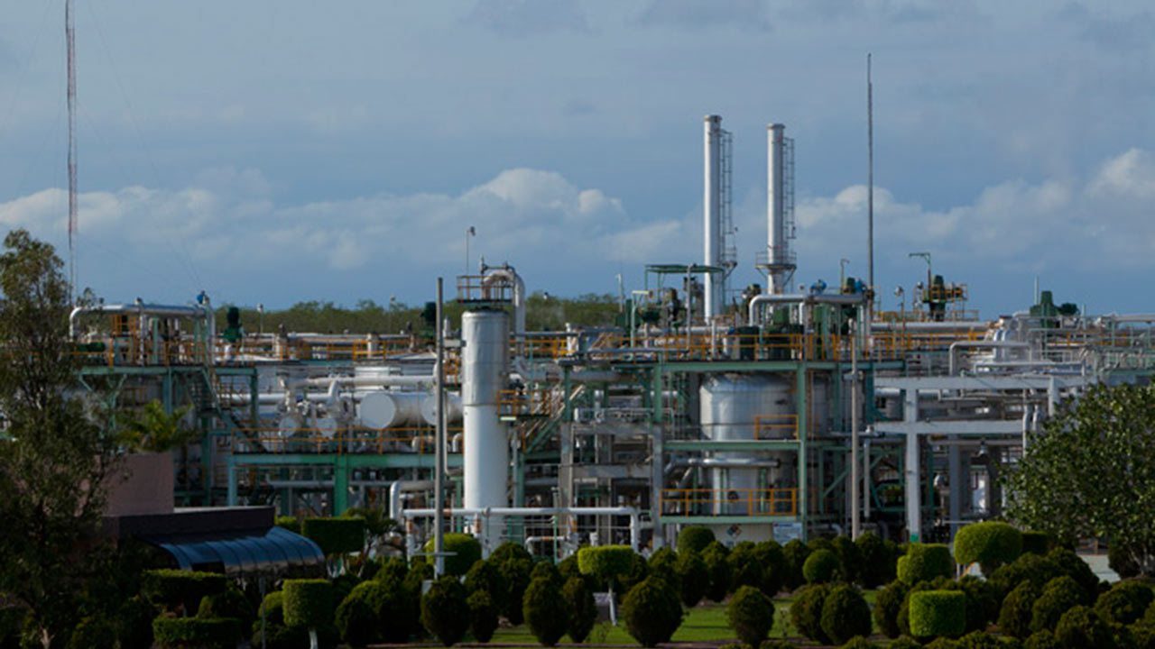 Kuo crece 33% y 300% flujo operativo y utilidad en primer trimestre