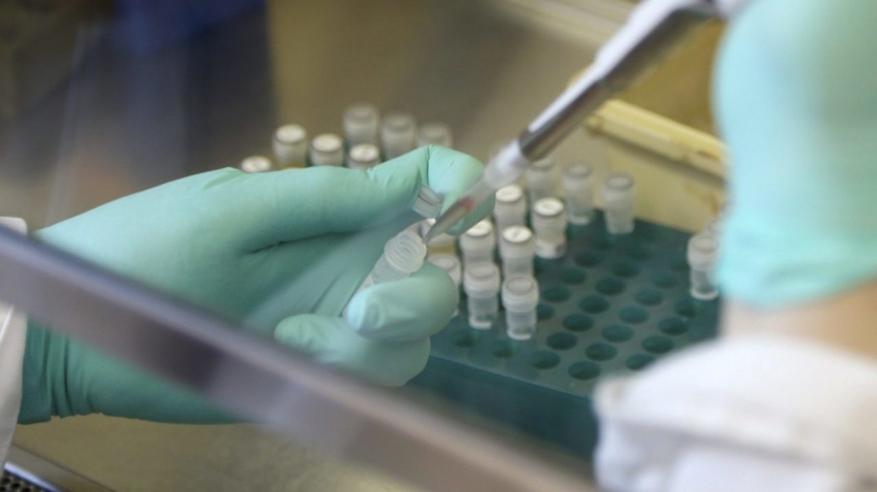 Científicos alertan por mutación que puede hacer al virus del zika más peligroso