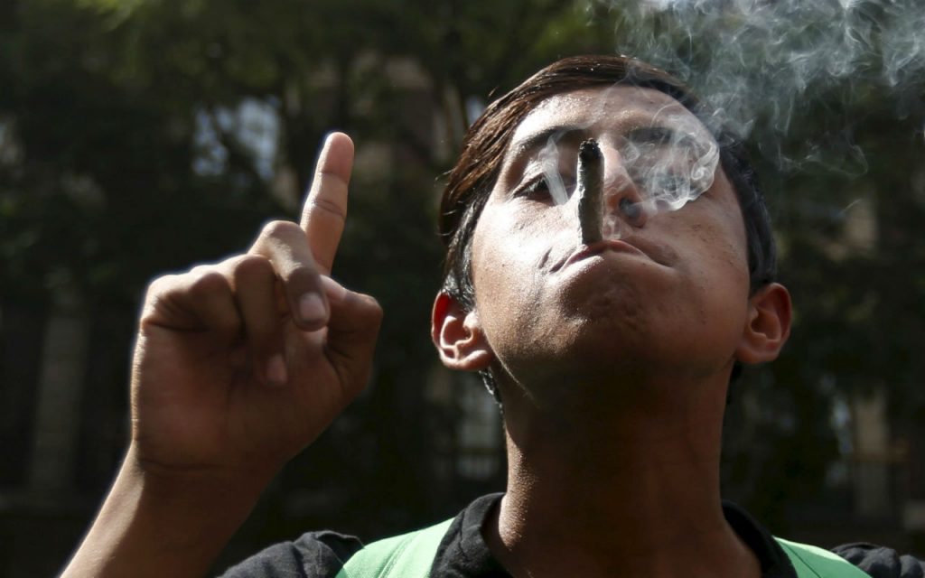Marihuana amlo