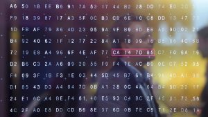 ciberseguridad