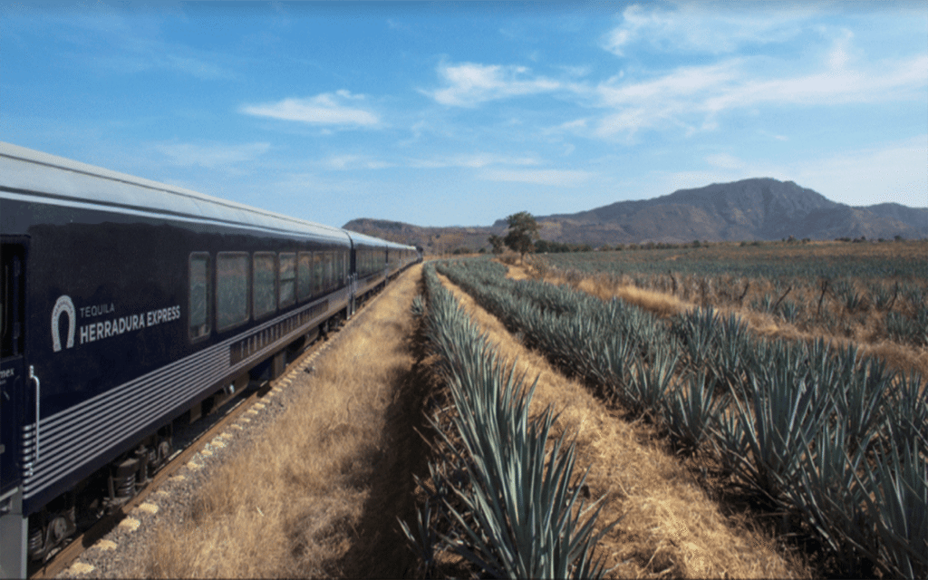 Herradura lanza el nuevo tren del tequila • Forbes México