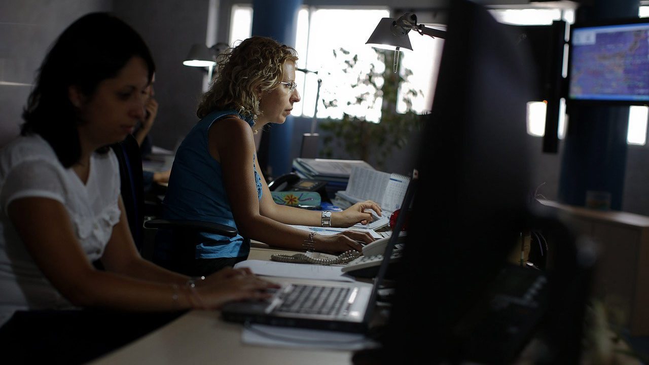 Informarse por internet es como recolectar hongos