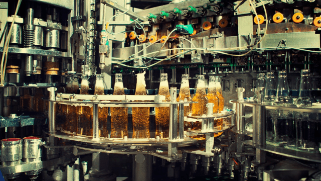 Grupo Modelo producirá 220,000 cervezas por hora desde Yucatán • Últimas  Noticias • Forbes México