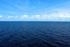 océano Pacífico zona minera más grande del mundo especies marinas minería aguas profundas