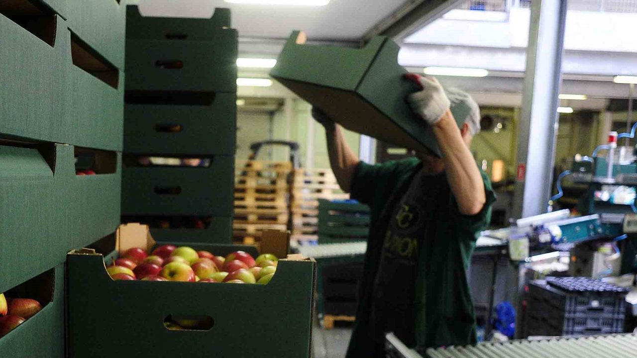 Subocupación laboral aumenta en mayo