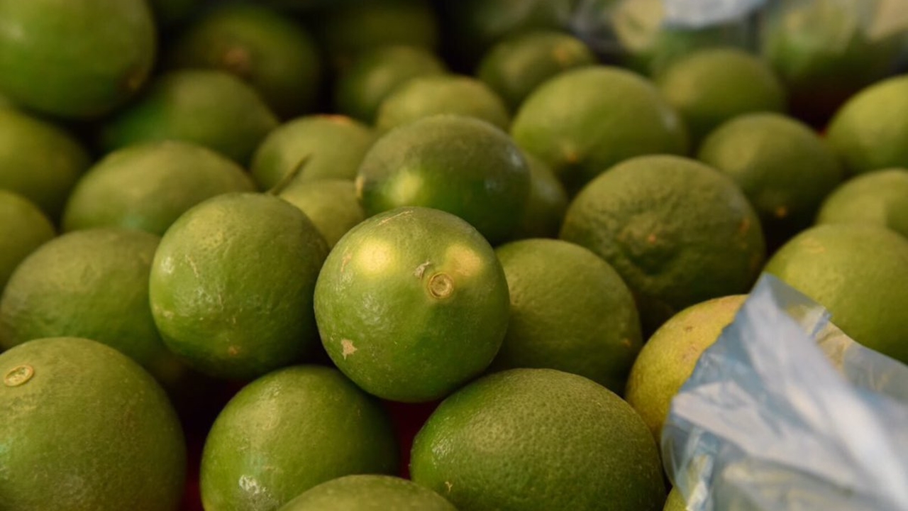 Exportaciones mexicanas de cítricos crecen 28% entre enero y julio: Sader