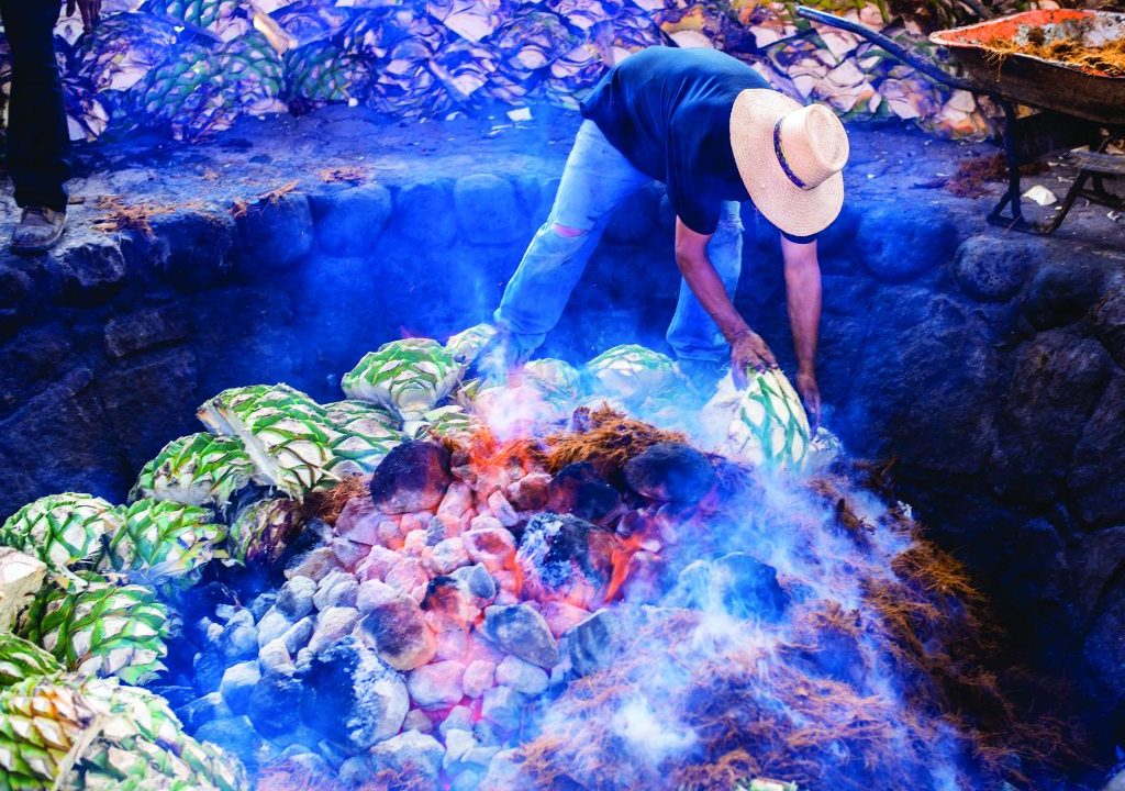 Los mejores consejos para tomar mezcal