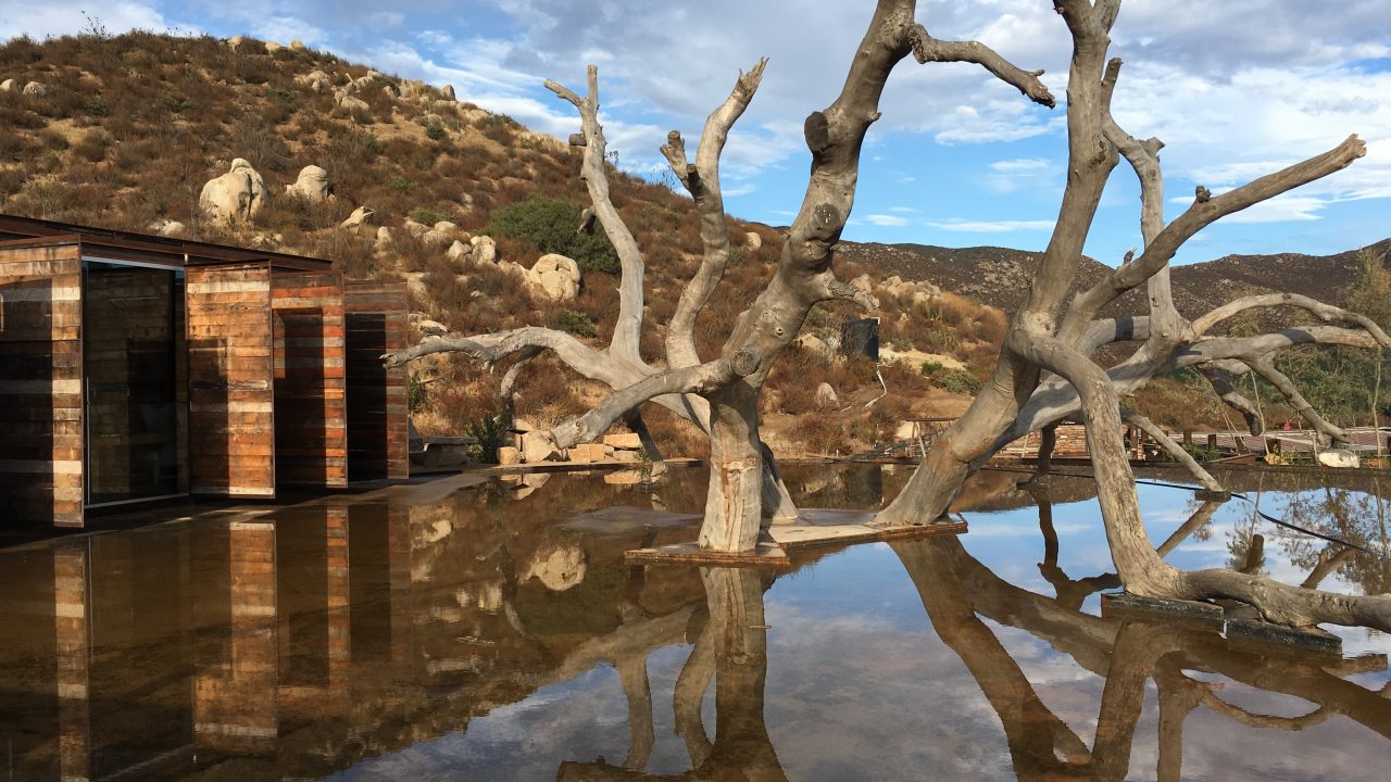 Verano en el Valle de Guadalupe, algunas novedades para disfrutar
