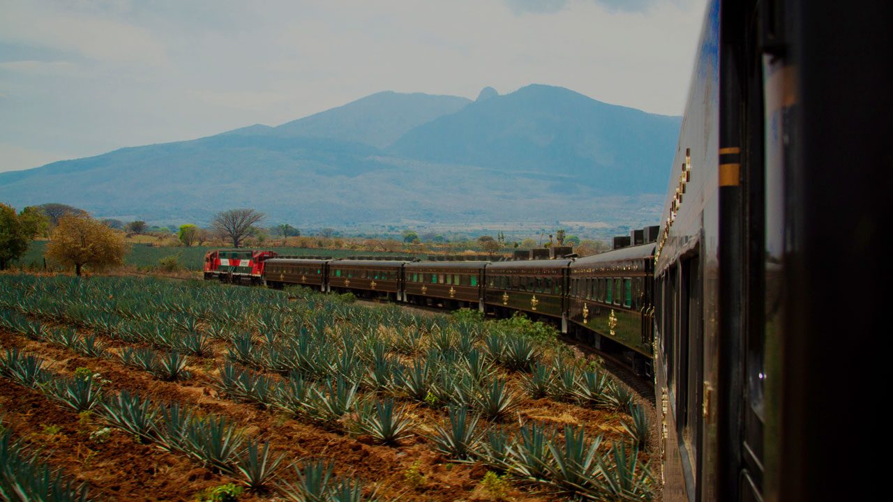 Becle reporta alza de 37.7% en ventas de tequila en primer trimestre de 2021