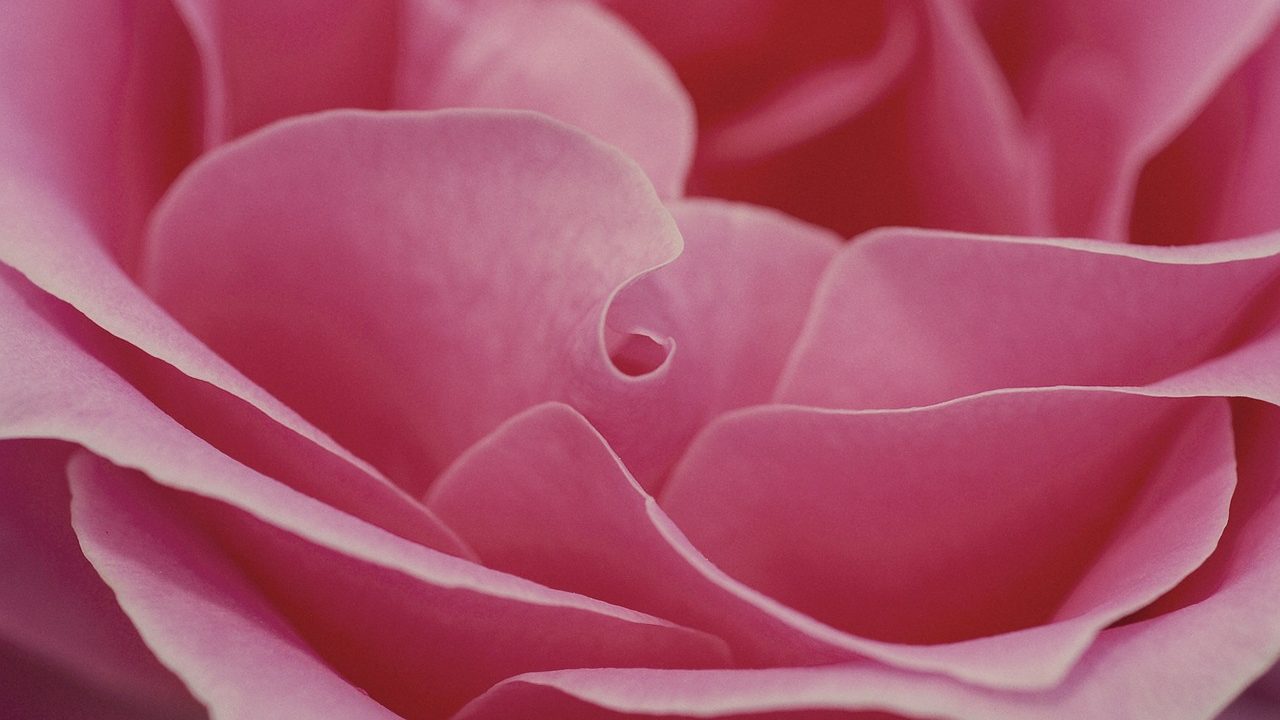 Este fue el primer perfume creado por Dior