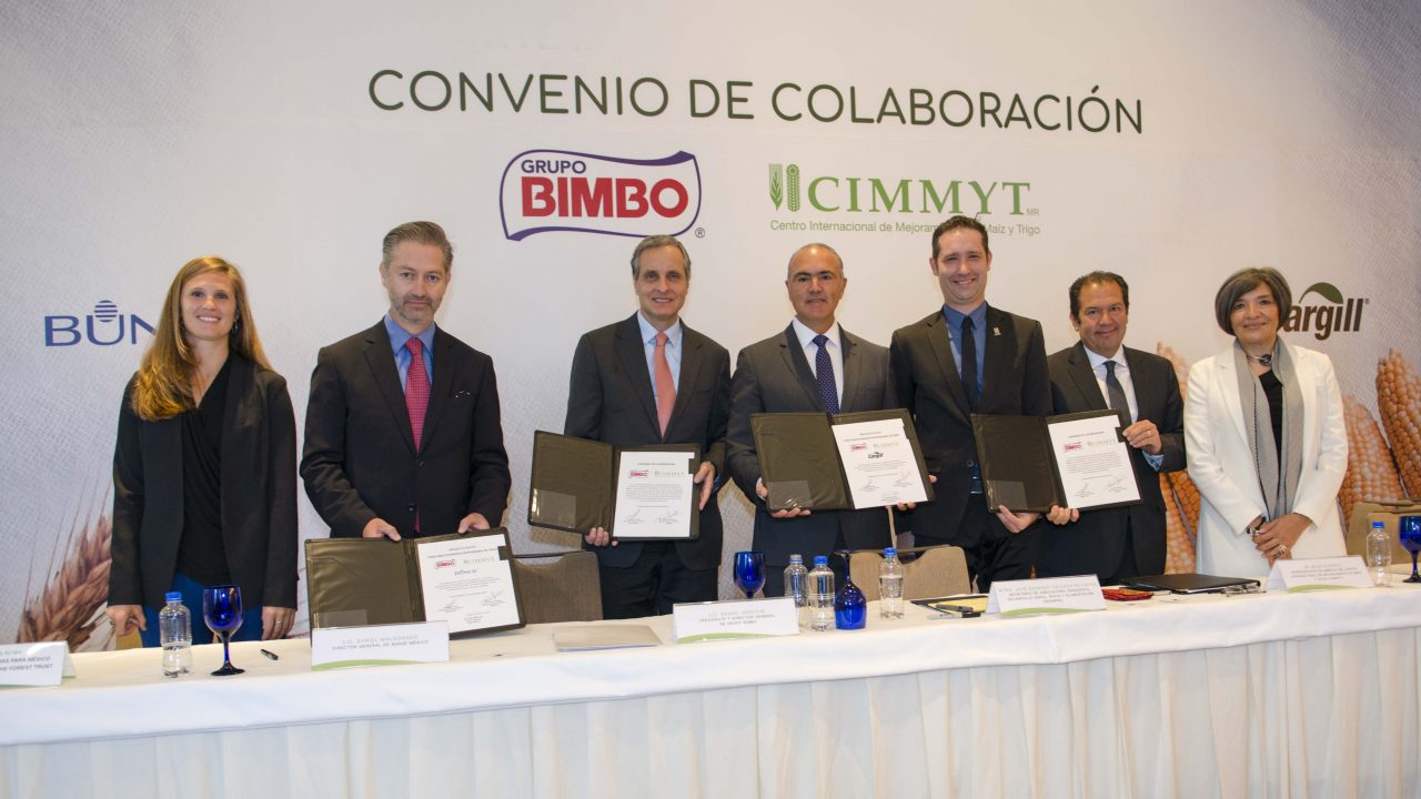 Bimbo impulsa producción sustentable de trigo y maíz