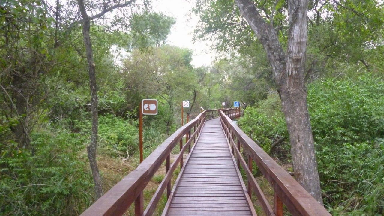 Sustentabilidad: el futuro del turismo de reuniones