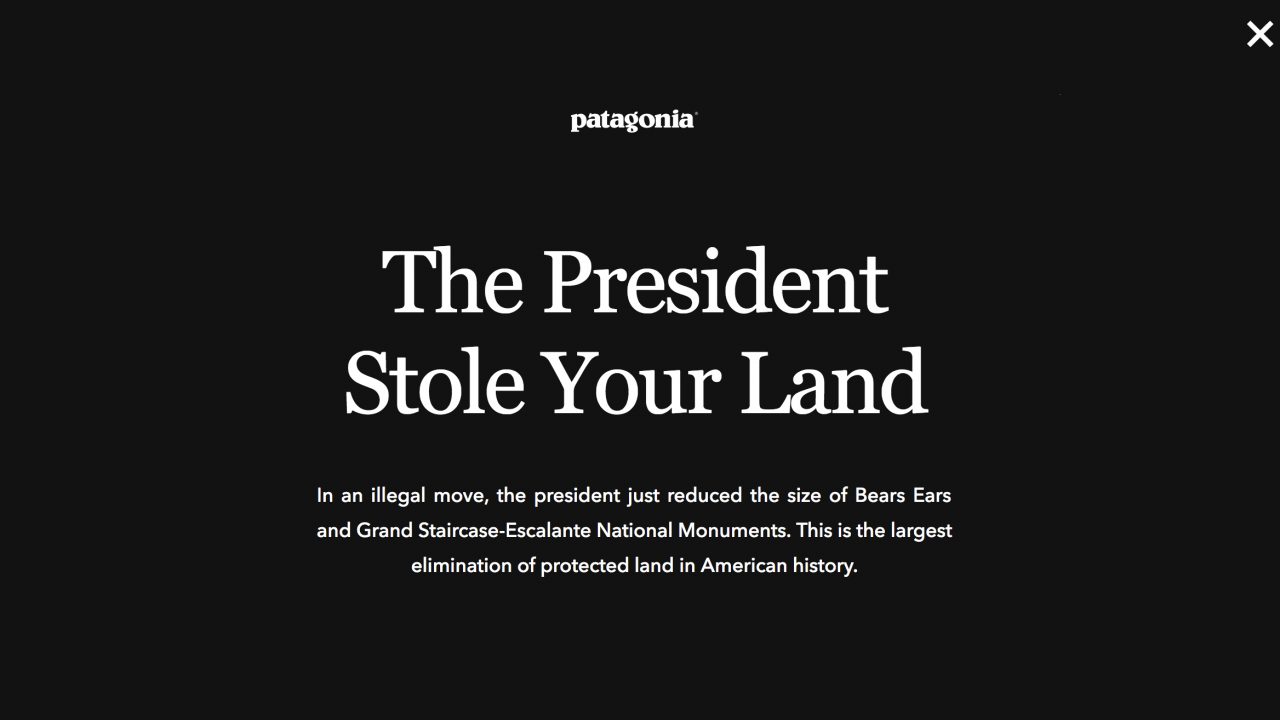 Dueño de Patagonia demandará a Trump