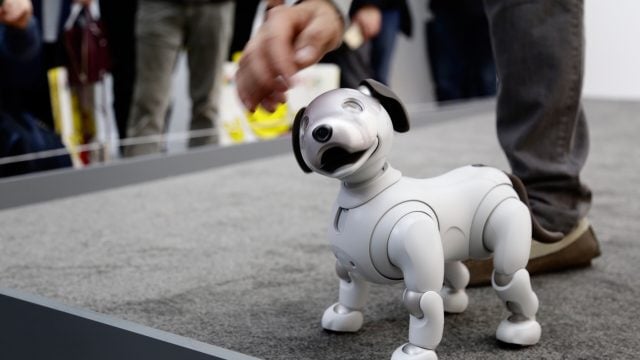 CES 2018  Regresa Aibo, el perro robot de Sony