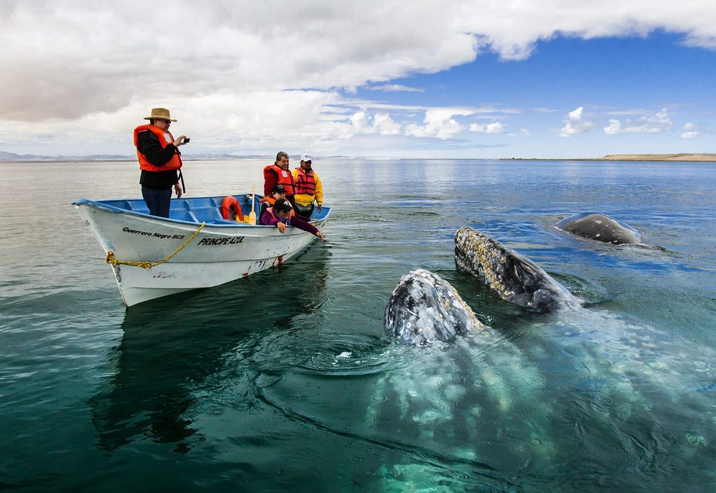 La persona, base del turismo y la experiencia
