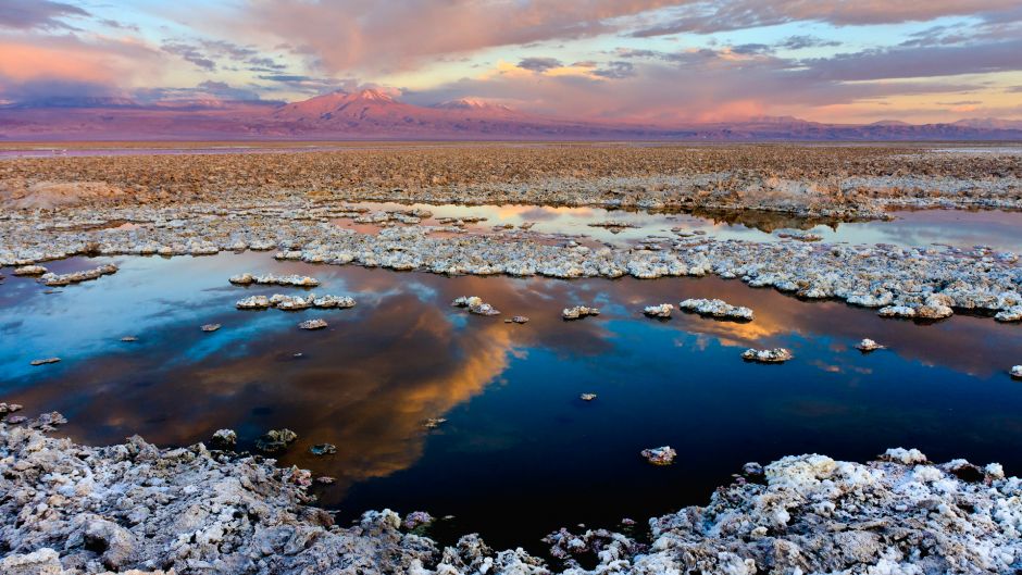 Atacama oasis