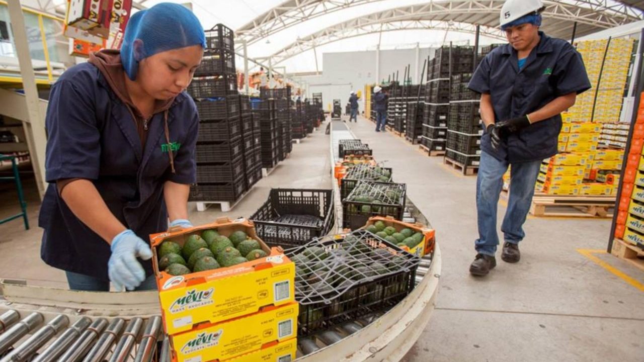 Autoridades deben detener las extorsiones en el campo y la manufactura, alerta Lance