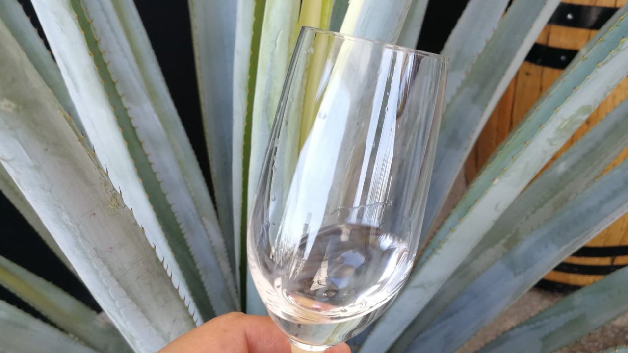 Tequila en fiestas patrias, ¿cómo innovar sin trastocar el legado?