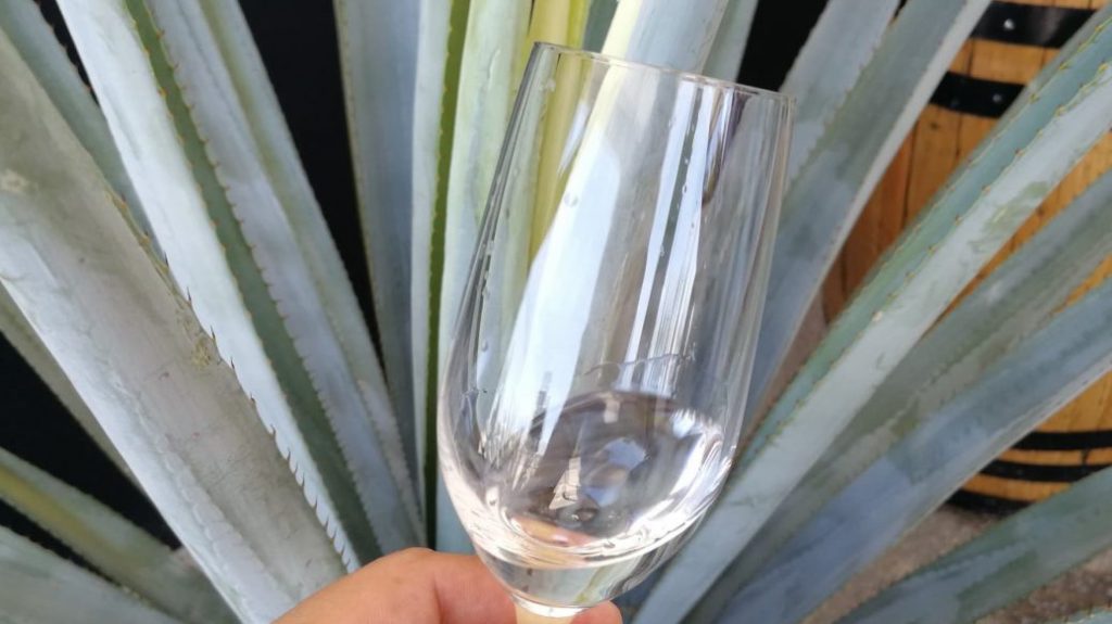 Tequila
