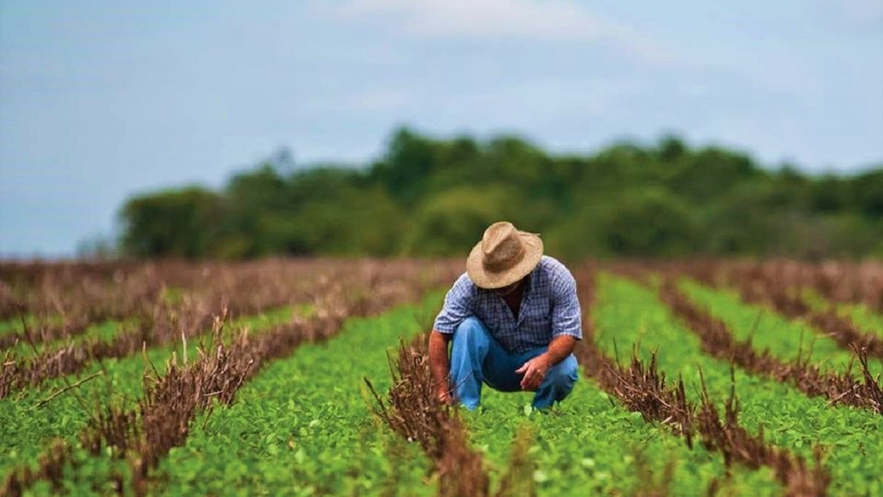 México alcanza superávit histórico en la balanza comercial del sector primario