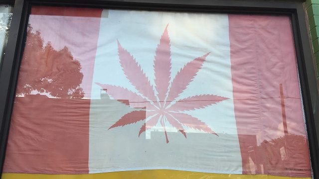 canada-mariguana-cannabis
