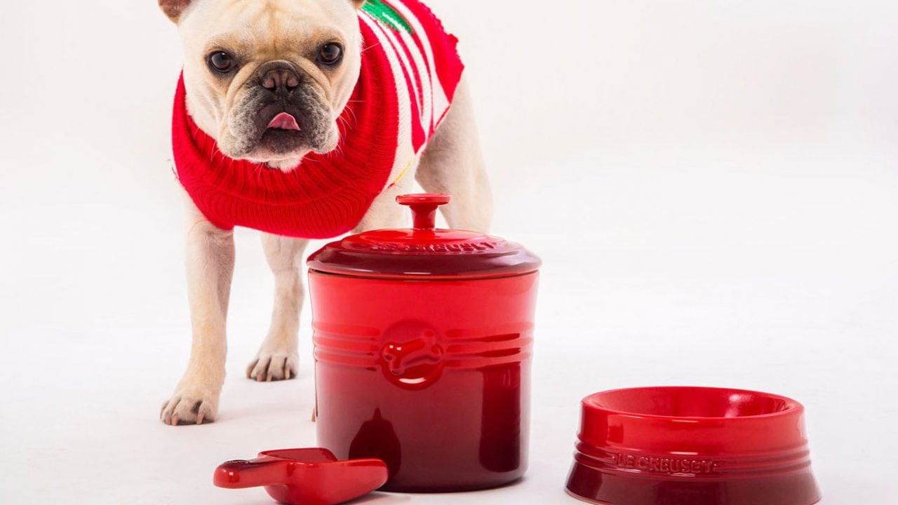 Pets, la nueva colección de Le Creuset para mascotas
