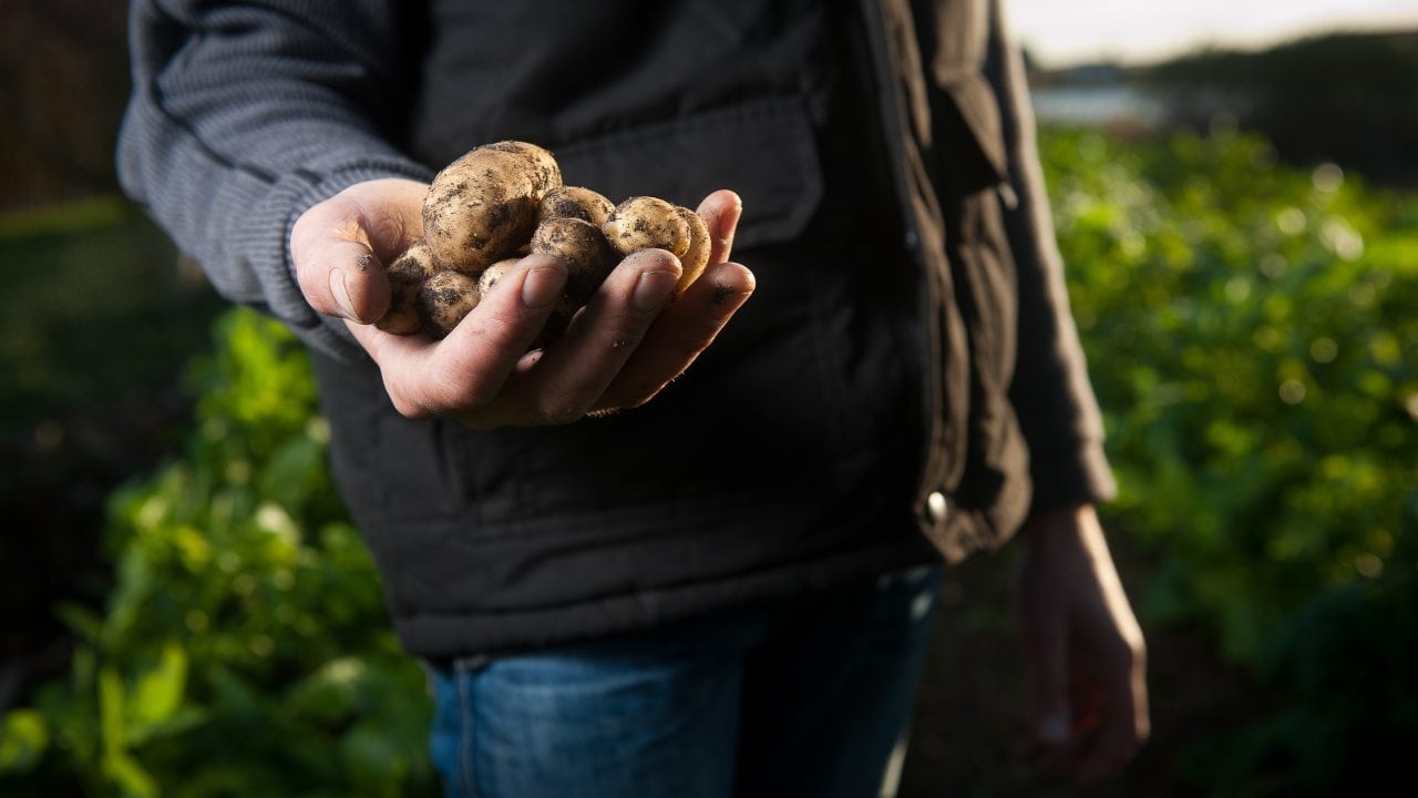 Diagnóstico: desnutrición. Causa: cambio climático