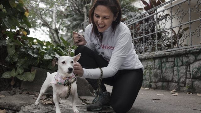 DogHero, el "Airbnb" de las mascotas llega a México