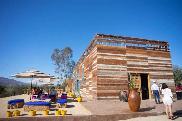 Frida Kahlo Inspira Un Rincón Vinícola En El Valle De Guadalupe 