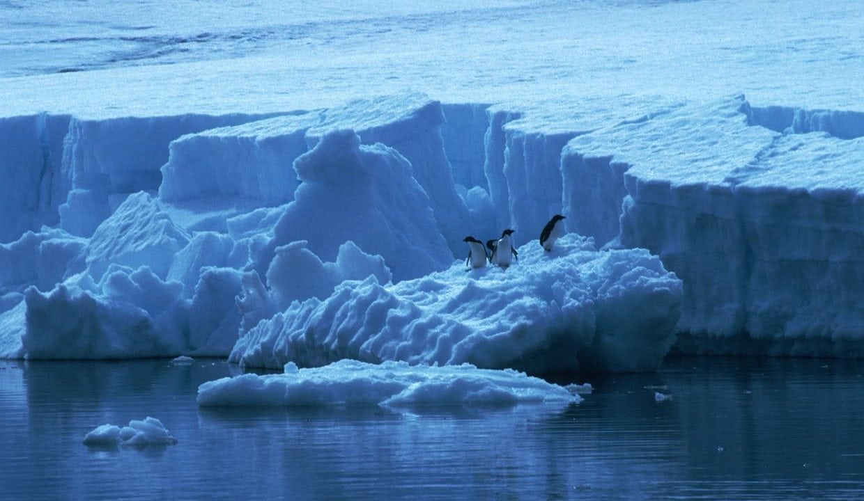 El retroceso glaciar en la Antártida Occidental comenzó en la década de 1940: estudio