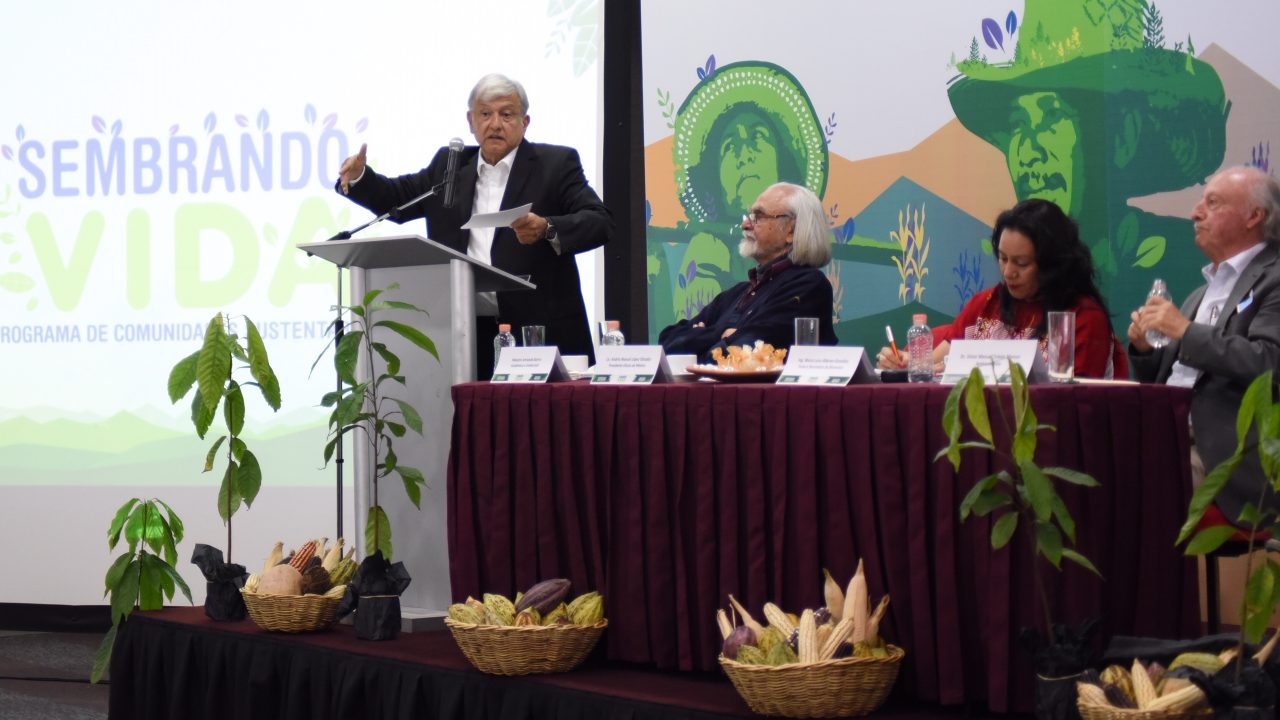 Así es el plan de AMLO para apoyar a pequeños productores del campo
