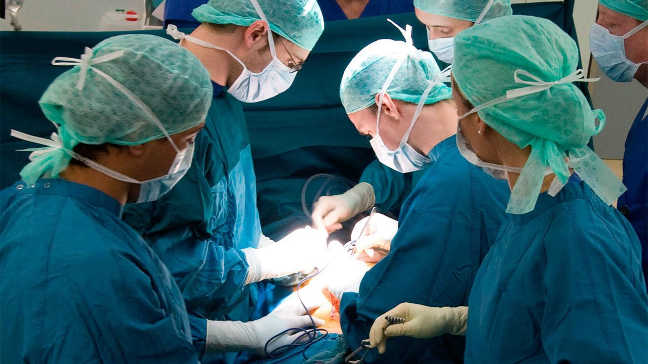 Realizan novedoso trasplante de riñón a niña de 8 años en el Reino Unido