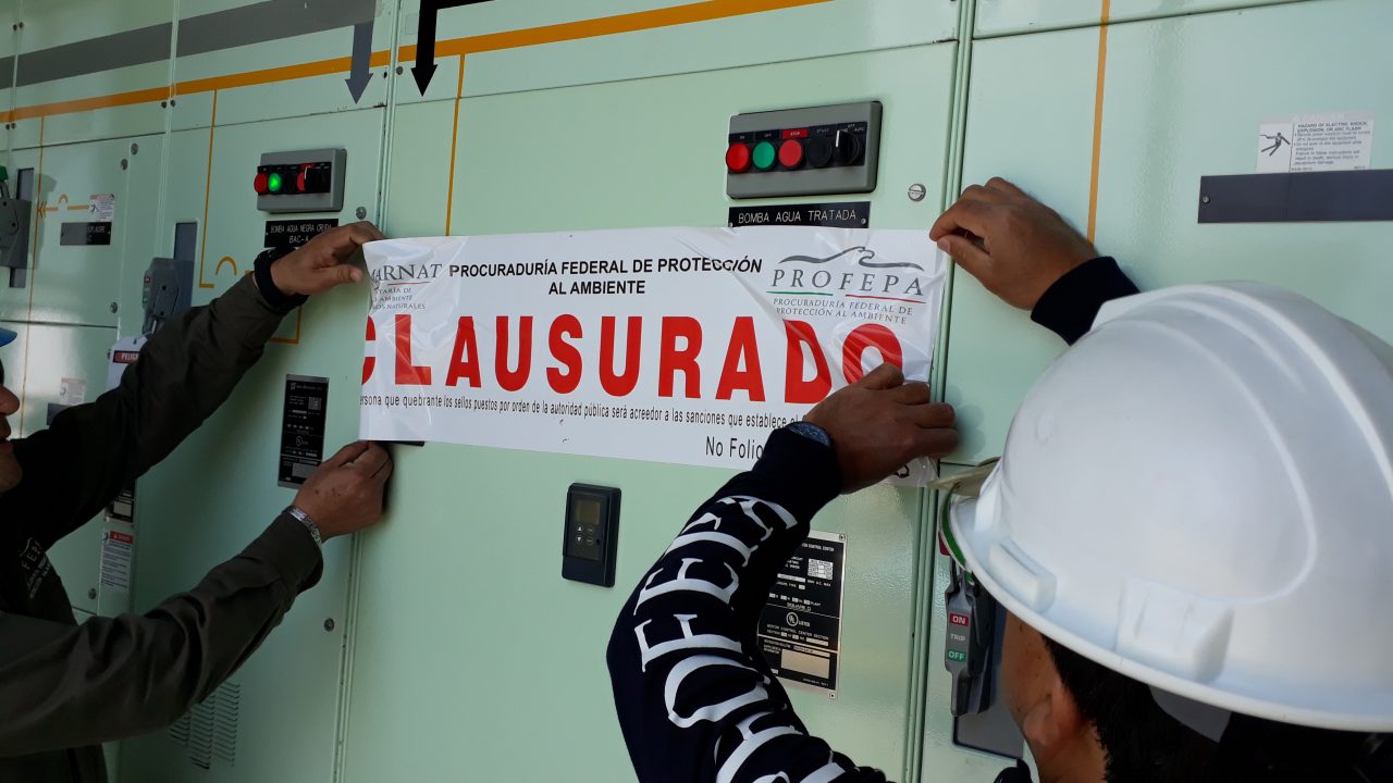 Profepa: Ana Patricia Carta funge como subprocuradora jurídica hasta fin de año