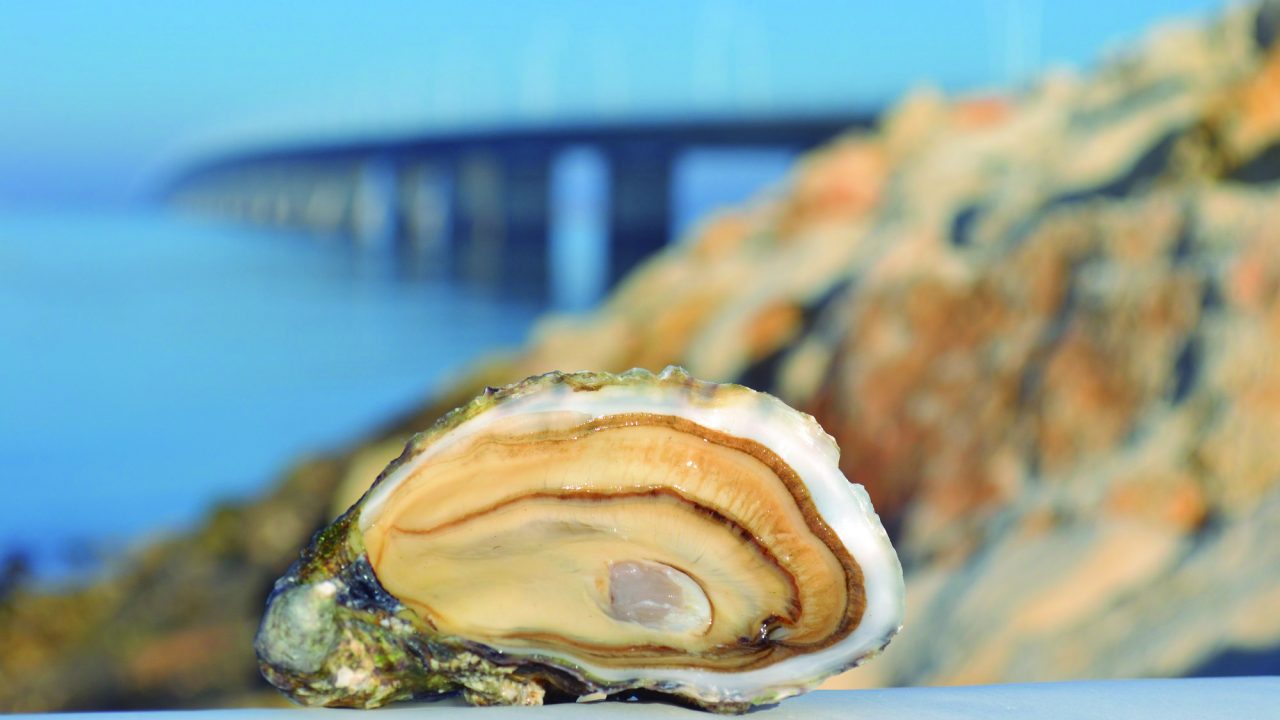El producto por encima de todo, la tendencia gourmet en 2019