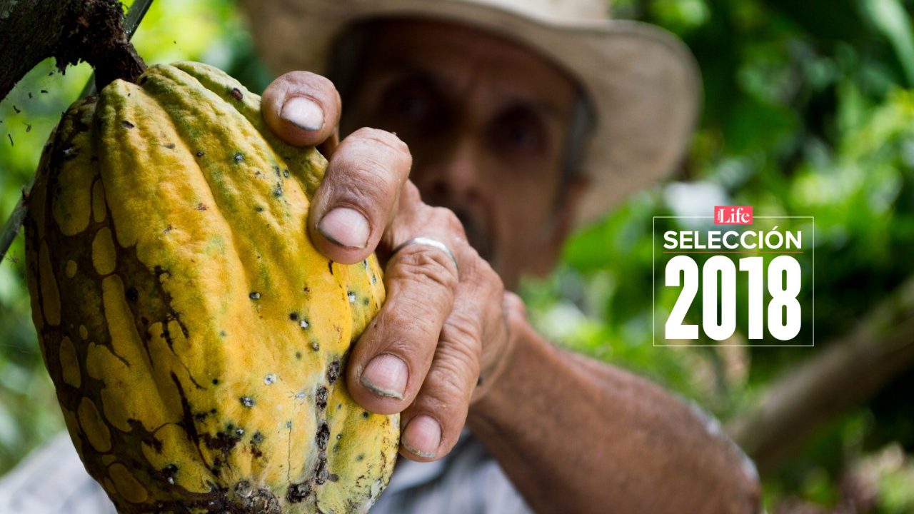 Selección Life | México brilla en la premiación chocolatera más grande del mundo