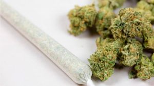 Mariguana