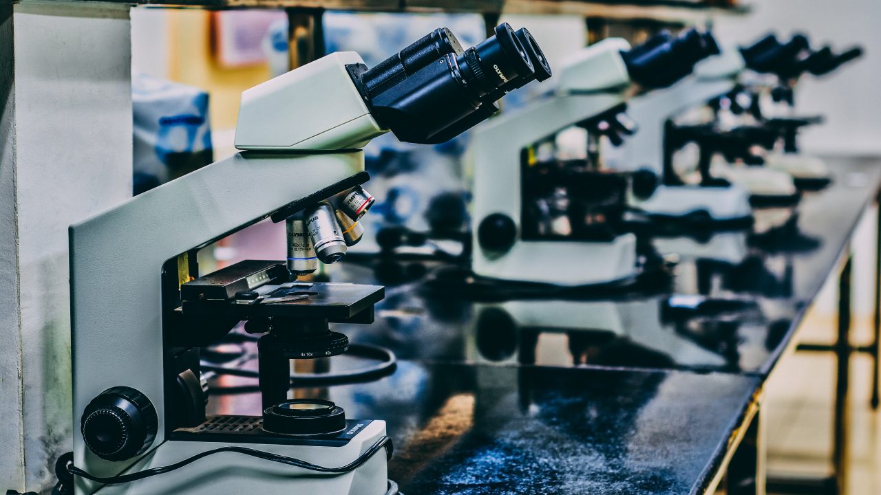 El mapa más amplio del cáncer de pulmón pone el foco en la diversidad tumoral