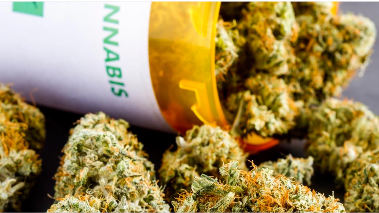 Cannabis farmacéutico en auge para 2022