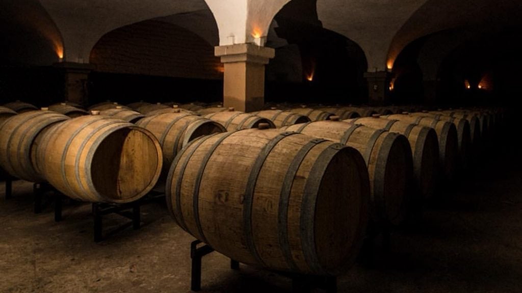 vino LA Cetto