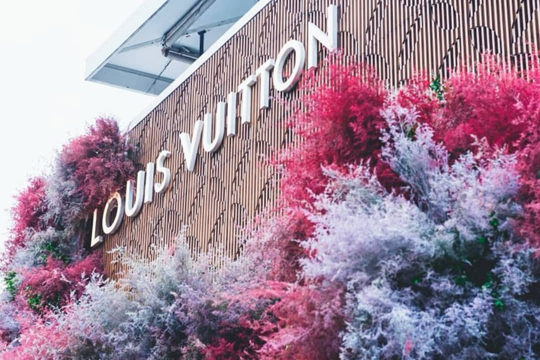 Polanco en flores: La Ciudad de México se viste de primavera