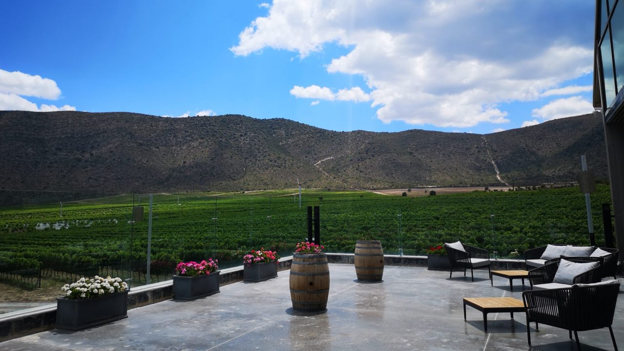 Atrévete a conocer Parras, el Pueblo Mágico para los apasionados del vino