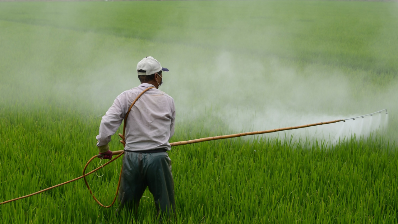 Rechazan prohibición de pesticida que causa daño cerebral en bebés