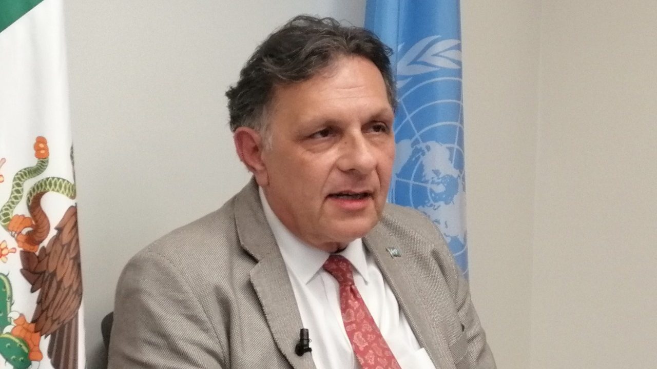 La corrupción en licitaciones ocurre sin que siquiera se viole el marco legal: ONU