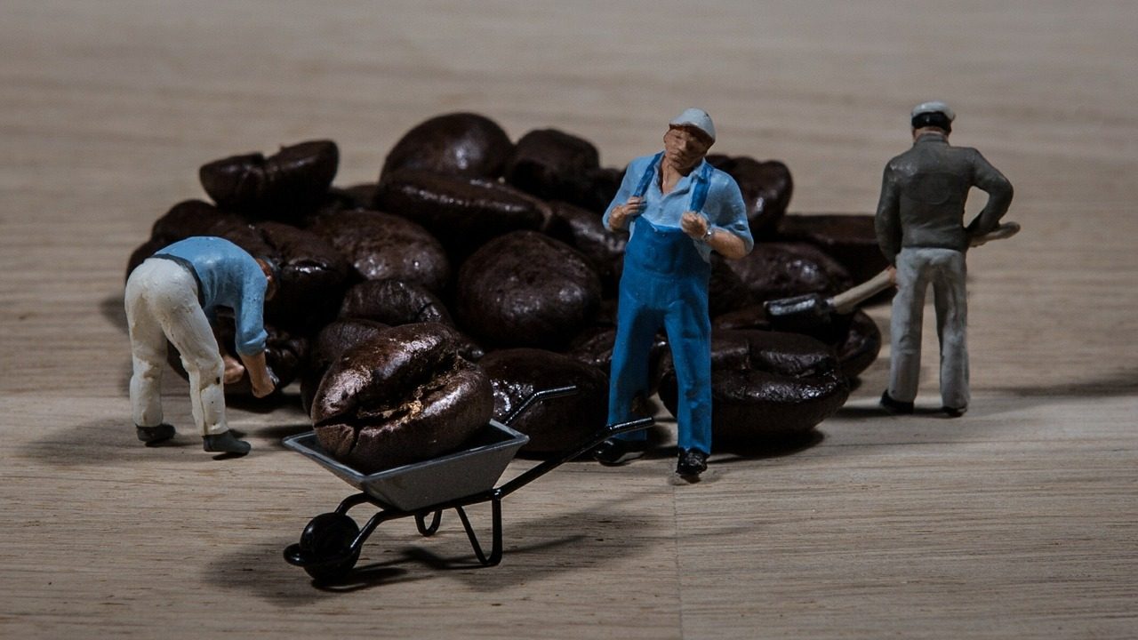 Pobreza y trabajo infantil: el café tiene sabor amargo en Europa