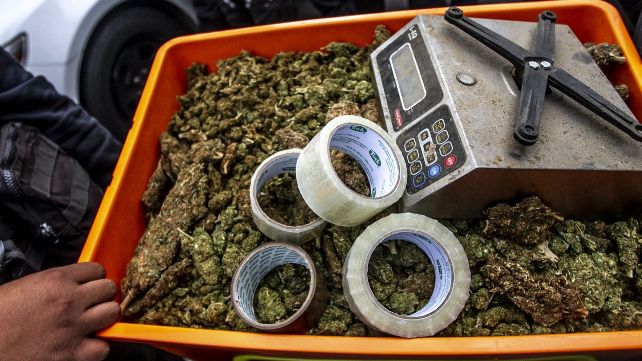 Este indicador muestra cómo la pandemia le ha pegado al mercado de las drogas
